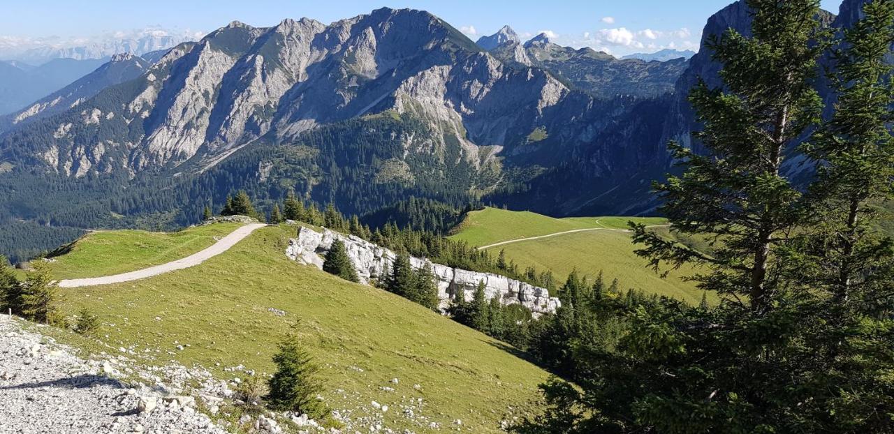 Nr 3 "Aggenstein"-Einzigartige Studio Mit Sued Balkon Inkl Koenigscard Pfronten Exteriör bild
